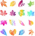 Autumn leaf prints in bright trendy gradient colors