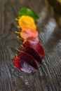 Autumn leaf under the rain 4 Royalty Free Stock Photo