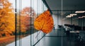 Autumn Leaf Reflection Royalty Free Stock Photo