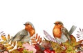 Autumn leaf and robin birds seamless border. Watercolor illustration. Red, orange fallen leaves endless ornament Royalty Free Stock Photo