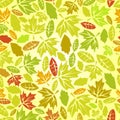 Autumn leaf seamless