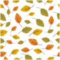 Autumn leaf seamless background Royalty Free Stock Photo
