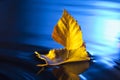 Autumn leaf ship in blue water