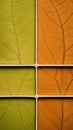 Autumn leaf texture background frame in orange green brown colours