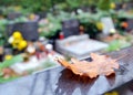 Autumn leaf and tombs with flowers at cemetery