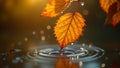 Autumn leaf touching water surface bokeh effect Royalty Free Stock Photo