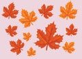 Autumn Leaf Vector Art Isolated Royalty Free Stock Photo