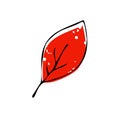 Autumn leaf icon