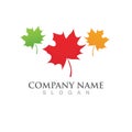 autumn leaf vector logo and symbol icon Royalty Free Stock Photo