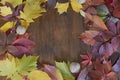 Autumn leaf on wood black background top view orange leaf on old grunge wood deck, copy place for inscription, tablet for text