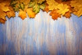 Autumn leaf on wood blue background top view orange leaf on o