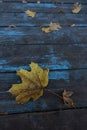 Autumn leaf on wood blue background top view orange leaf on old grunge wood deck, copy place for inscription, top view