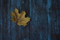 Autumn leaf on wood blue background top view orange leaf on old grunge wood deck, copy place for inscription, top view