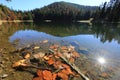 Autumn leafage in lake Royalty Free Stock Photo