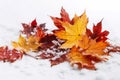 Autumn leafage on snowy surface. Generate ai