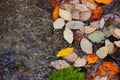 Autumn leafage on water surface Royalty Free Stock Photo