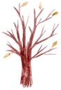 Autumn leafless tree hand-drawn with watercolor strokes