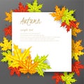 Autumn leafs background with paper sign Royalty Free Stock Photo