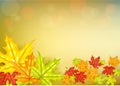 Autumn leafs background Royalty Free Stock Photo