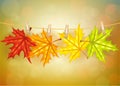 Autumn leafs with clothespins background Royalty Free Stock Photo