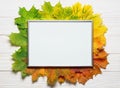 Autumn leafs colorful gradient composition with picture frame copy space