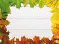 Autumn leafs colorful rainbow gradient on white wood