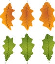 Autumn leafs foliage falling graphic illustrated colours orange green