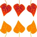 Autumn leafs foliage falling graphic illustrated colours red orange