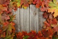 Autumn leafs frame on grey wooden background.