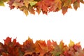 Autumn leafs frame on white background. Royalty Free Stock Photo