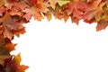 Autumn leafs frame on white background. Royalty Free Stock Photo