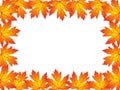 Autumn leafs. Grunge autumn leaf border