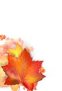 Autumn leafs on the white backgroun with copyspace. Royalty Free Stock Photo