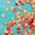 Autumn leafs on wood floor background isolated. Royalty Free Stock Photo