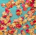 Autumn leafs on wood floor background isolated. Royalty Free Stock Photo