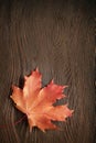 Autumn leave on the black wooden background. Copy space for text. top view