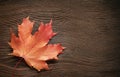 Autumn leave on the black wooden background. Copy space for text. top view