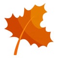 Autumn leave icon, cartoon style