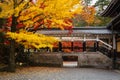 Autumn leave at Nanzenji temple, Kyoto, Japan Royalty Free Stock Photo