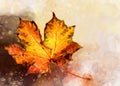 Autumn leave - watercolor on a white background. Fall illustration