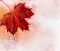 Autumn leave - watercolor on a white background. Fall illustration