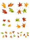 Autumn Leaves Royalty Free Stock Photo