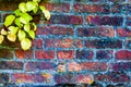 Autumn leaves against red brick wall Royalty Free Stock Photo