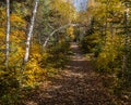 Perfect autumn trail for a hike Royalty Free Stock Photo