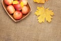 Autumn leaves and apples over burlap Royalty Free Stock Photo