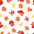 Autumn leaves and ashberry seamless vector pattern