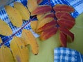 Autumn leaves