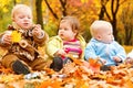 Autumn leaves and babies