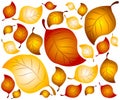 Autumn Leaves Background 2 Royalty Free Stock Photo