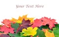 Autumn leaves background